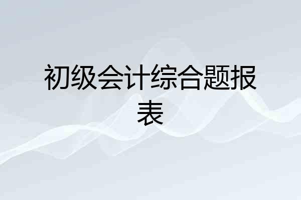 初级会计综合题报表
