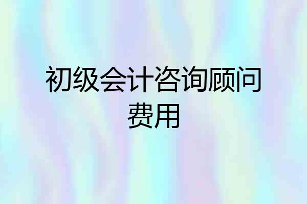 初级会计咨询顾问费用
