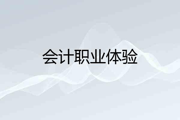 会计职业体验