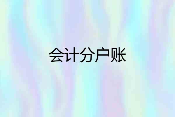 会计分户账