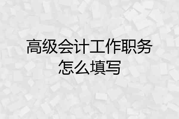 高级会计工作职务怎么填写