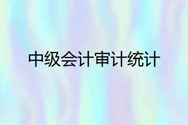中级会计审计统计