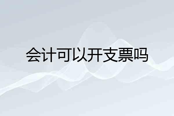 会计可以开支票吗