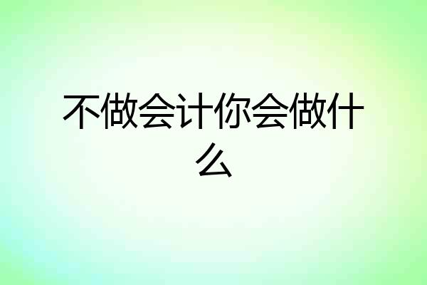不做会计你会做什么