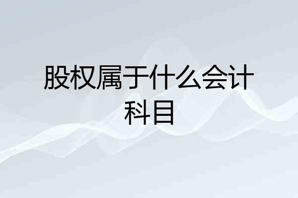 股权属于什么会计科目