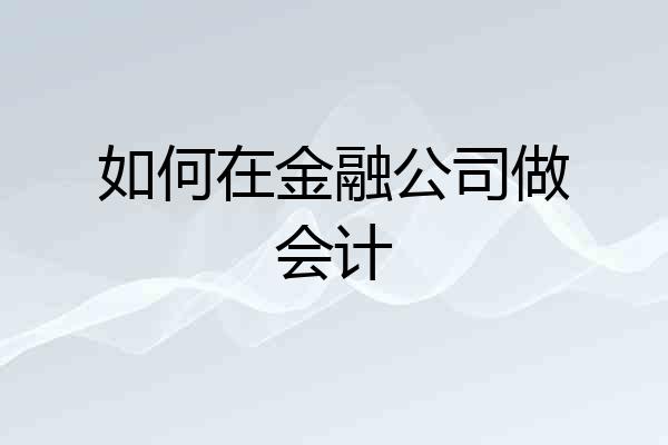 如何在金融公司做会计
