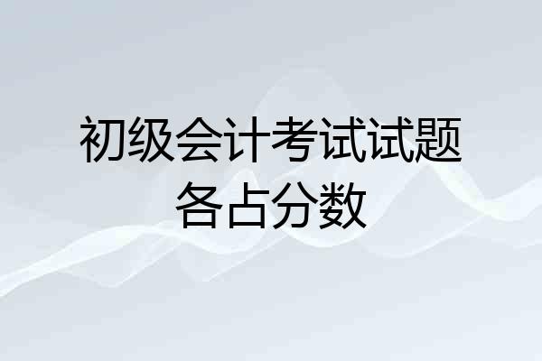 初级会计考试试题各占分数