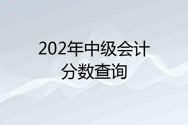 202年中级会计分数查询