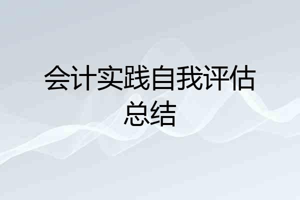 会计实践自我评估总结