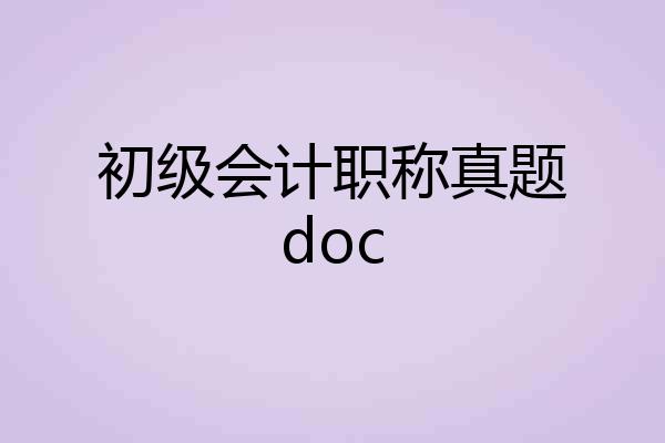 初级会计职称真题doc