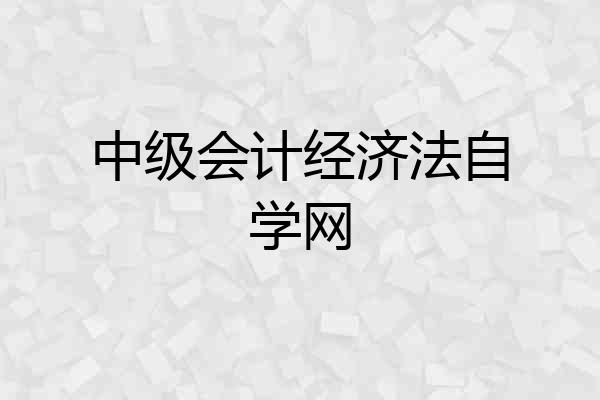 中级会计经济法自学网