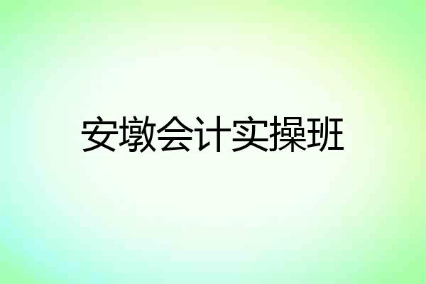 安墩会计实操班