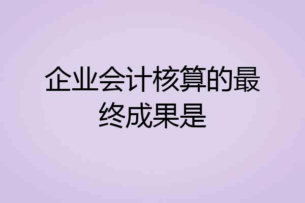 企业会计核算的最终成果是