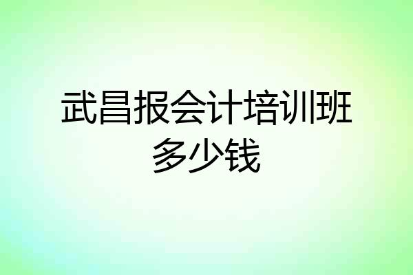武昌报会计培训班多少钱