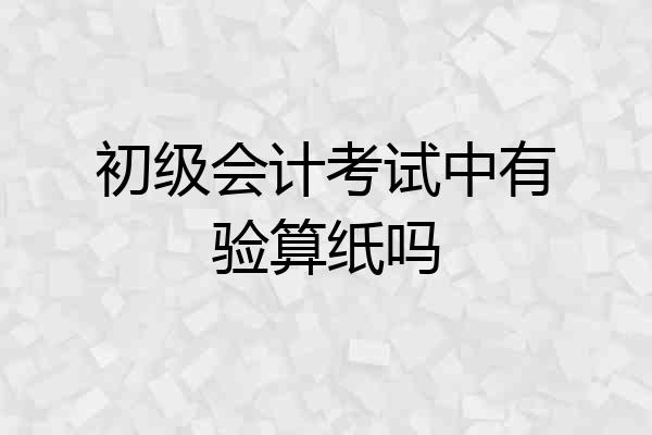 初级会计考试中有验算纸吗