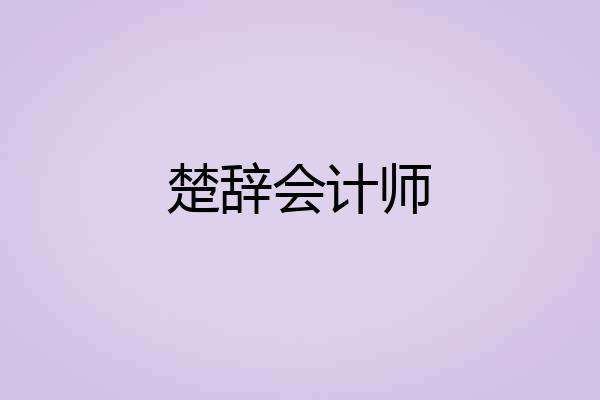 楚辞会计师