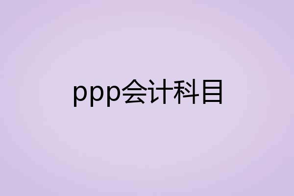 ppp会计科目