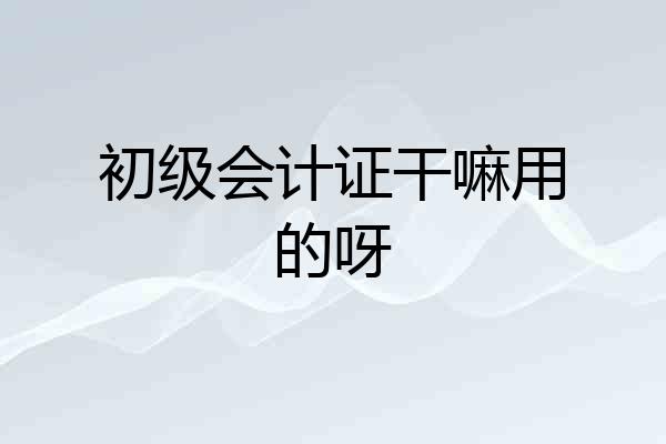 初级会计证干嘛用的呀
