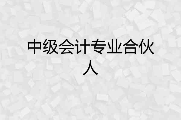 中级会计专业合伙人