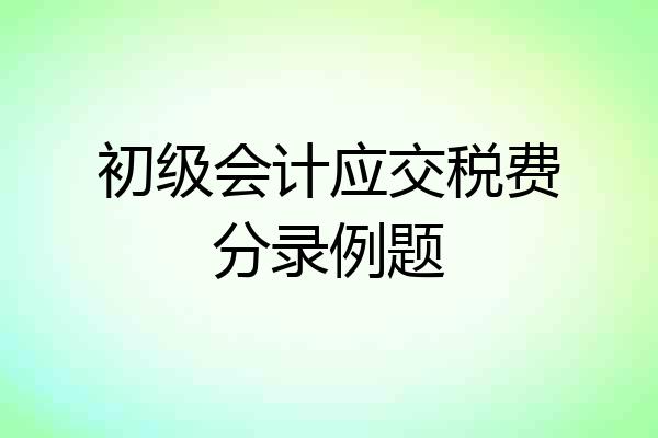 初级会计应交税费分录例题