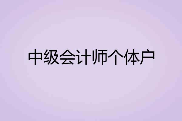 中级会计师个体户
