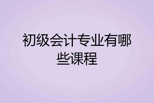 初级会计专业有哪些课程
