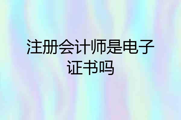 注册会计师是电子证书吗