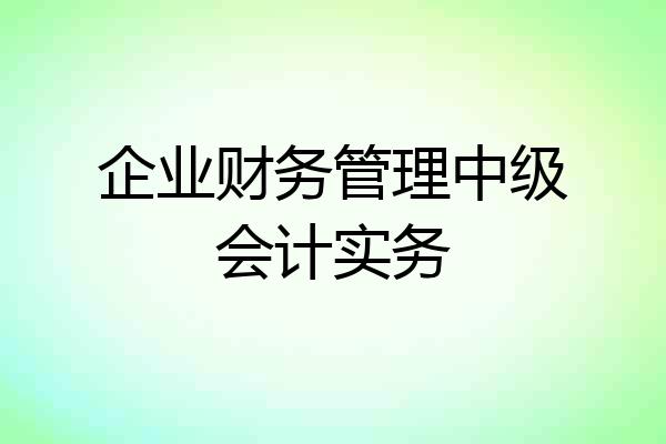 企业财务管理中级会计实务