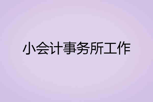小会计事务所工作