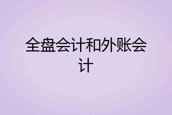 全盘会计和外账会计