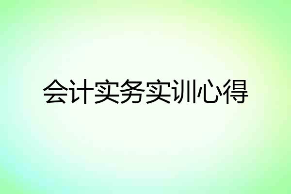 会计实务实训心得