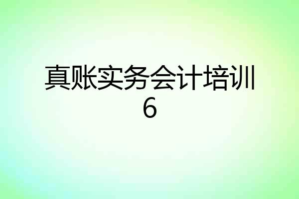 真账实务会计培训6