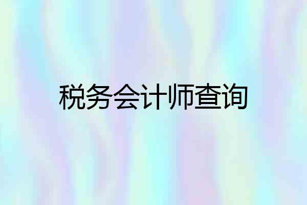 税务会计师查询