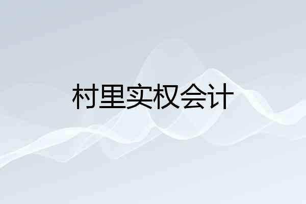 村里实权会计