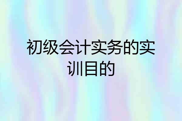 初级会计实务的实训目的