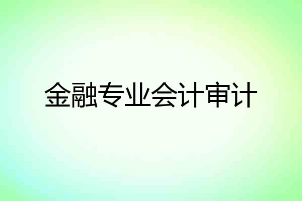 金融专业会计审计