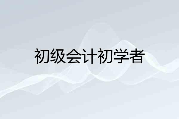 初级会计初学者