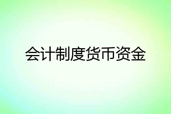 会计制度货币资金