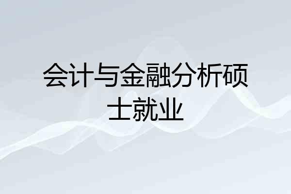 会计与金融分析硕士就业