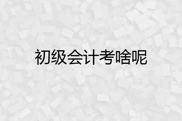 初级会计考啥呢