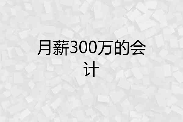 月薪300万的会计