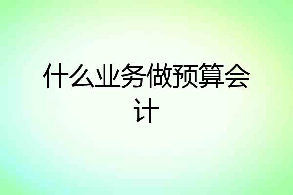 什么业务做预算会计