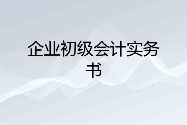 企业初级会计实务书