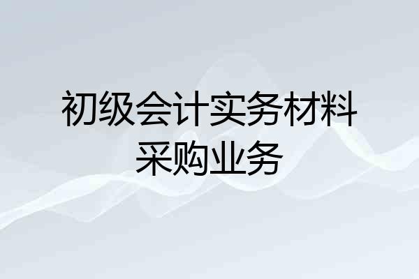 初级会计实务材料采购业务