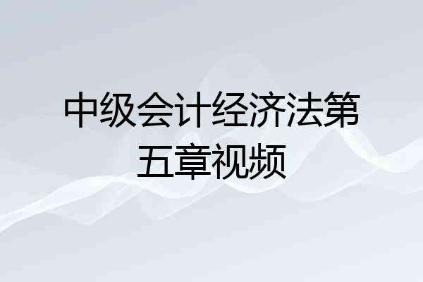 中级会计经济法第五章视频