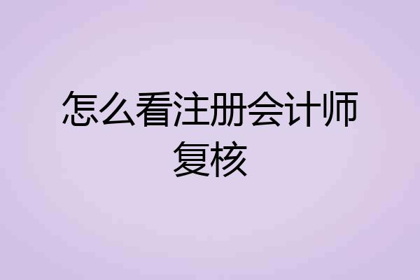 怎么看注册会计师复核