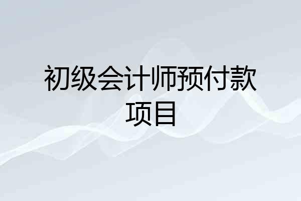 初级会计师预付款项目