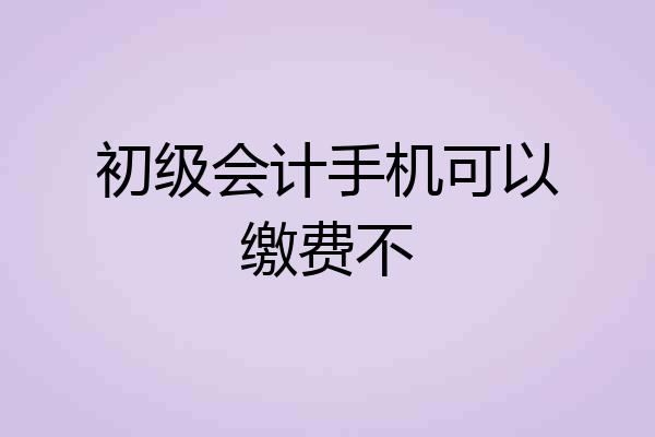 初级会计手机可以缴费不