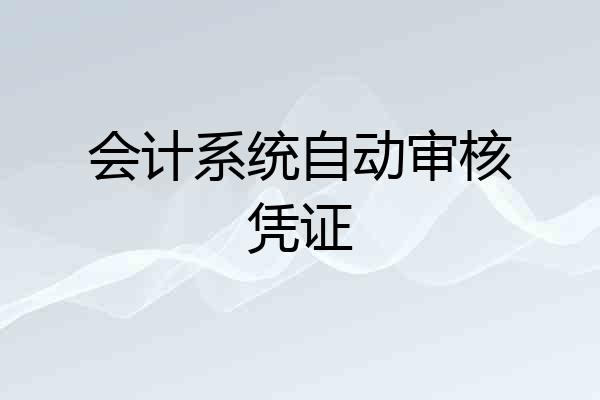 会计系统自动审核凭证