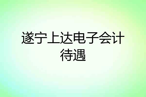 遂宁上达电子会计待遇